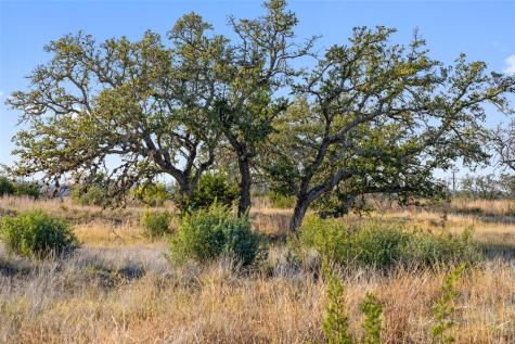 Lot 91 Axis Circle Fredericksburg TX 78624