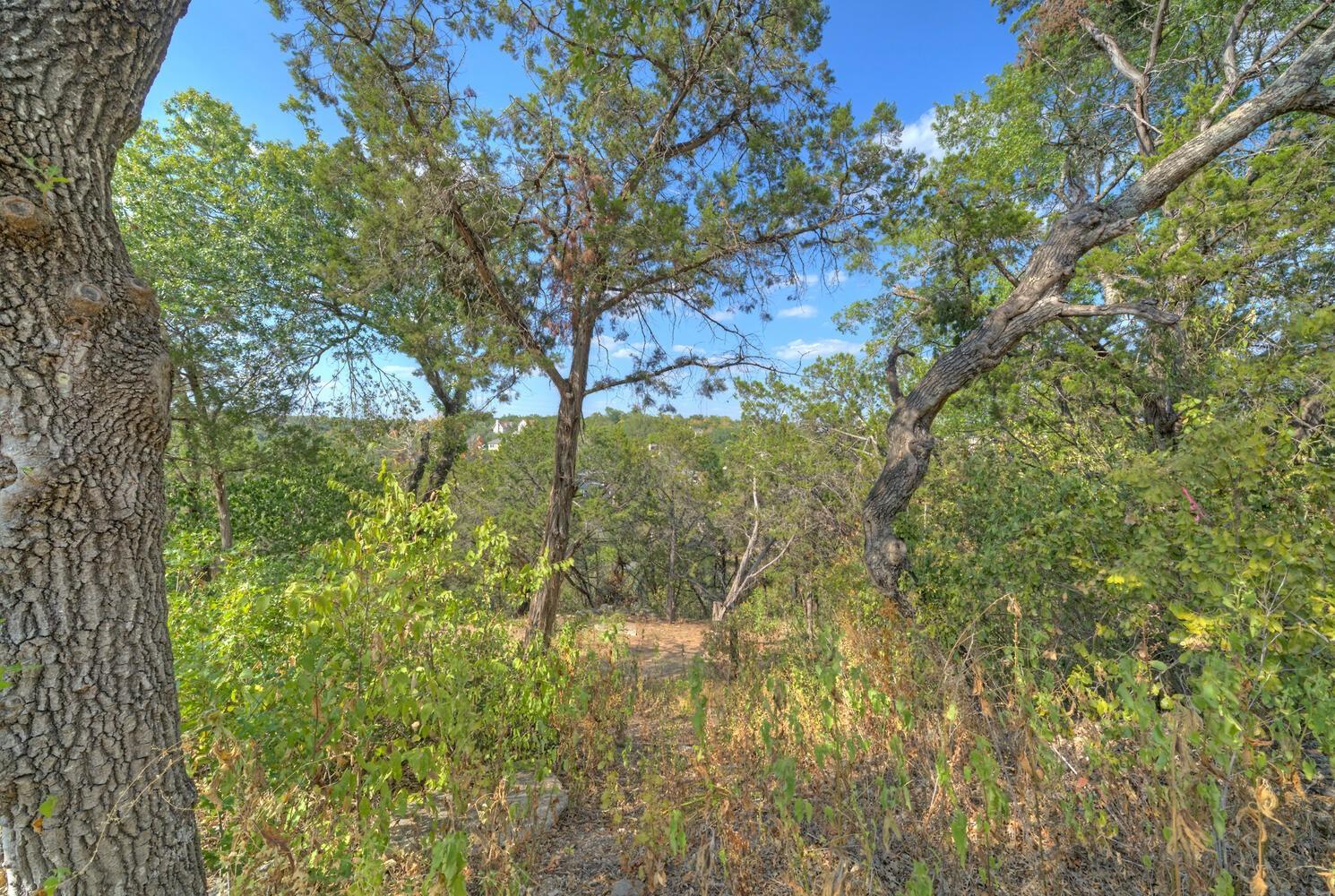 2412 Crazyhorse Pass Austin TX 78734