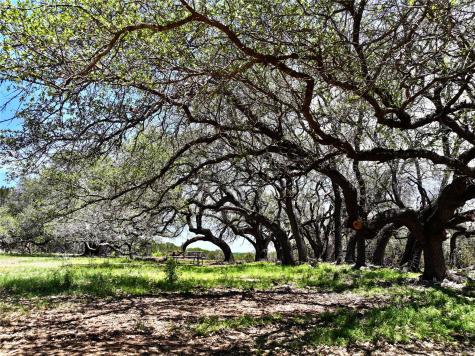 285 Donnie Drive Lampasas TX 76550
