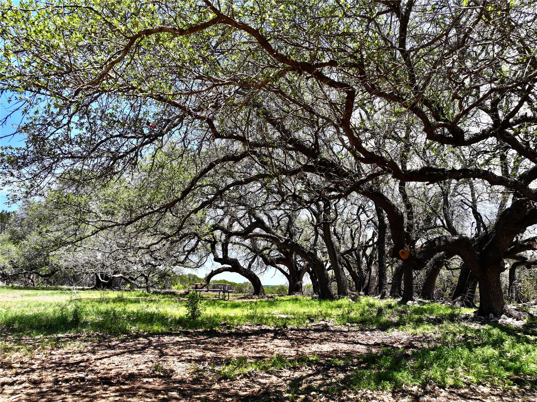 285 Donnie Drive Lampasas TX 76550