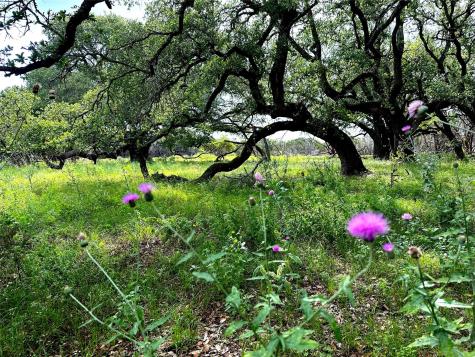 285 Donnie Drive Lampasas TX 76550