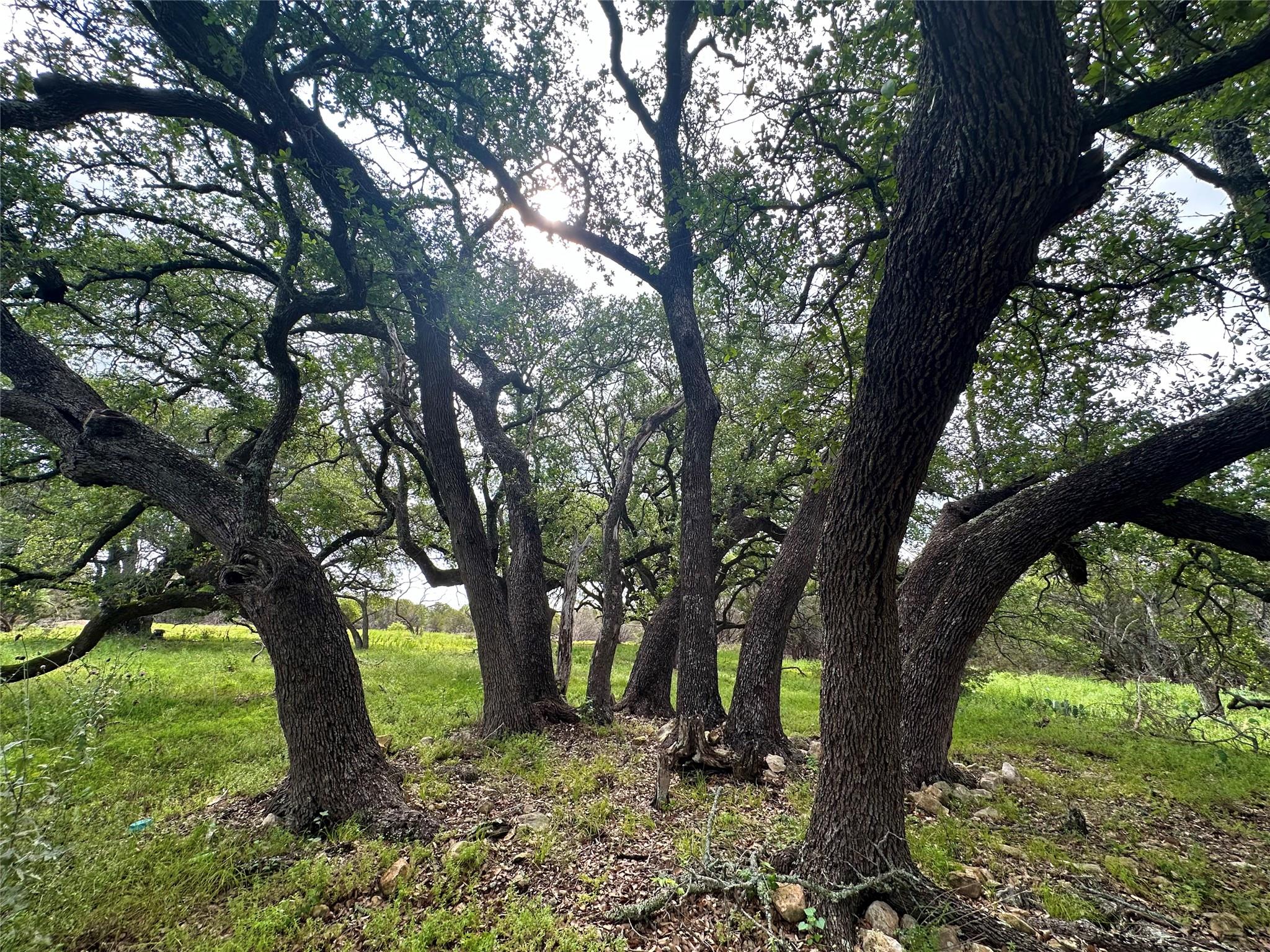 285 Donnie Drive Lampasas TX 76550