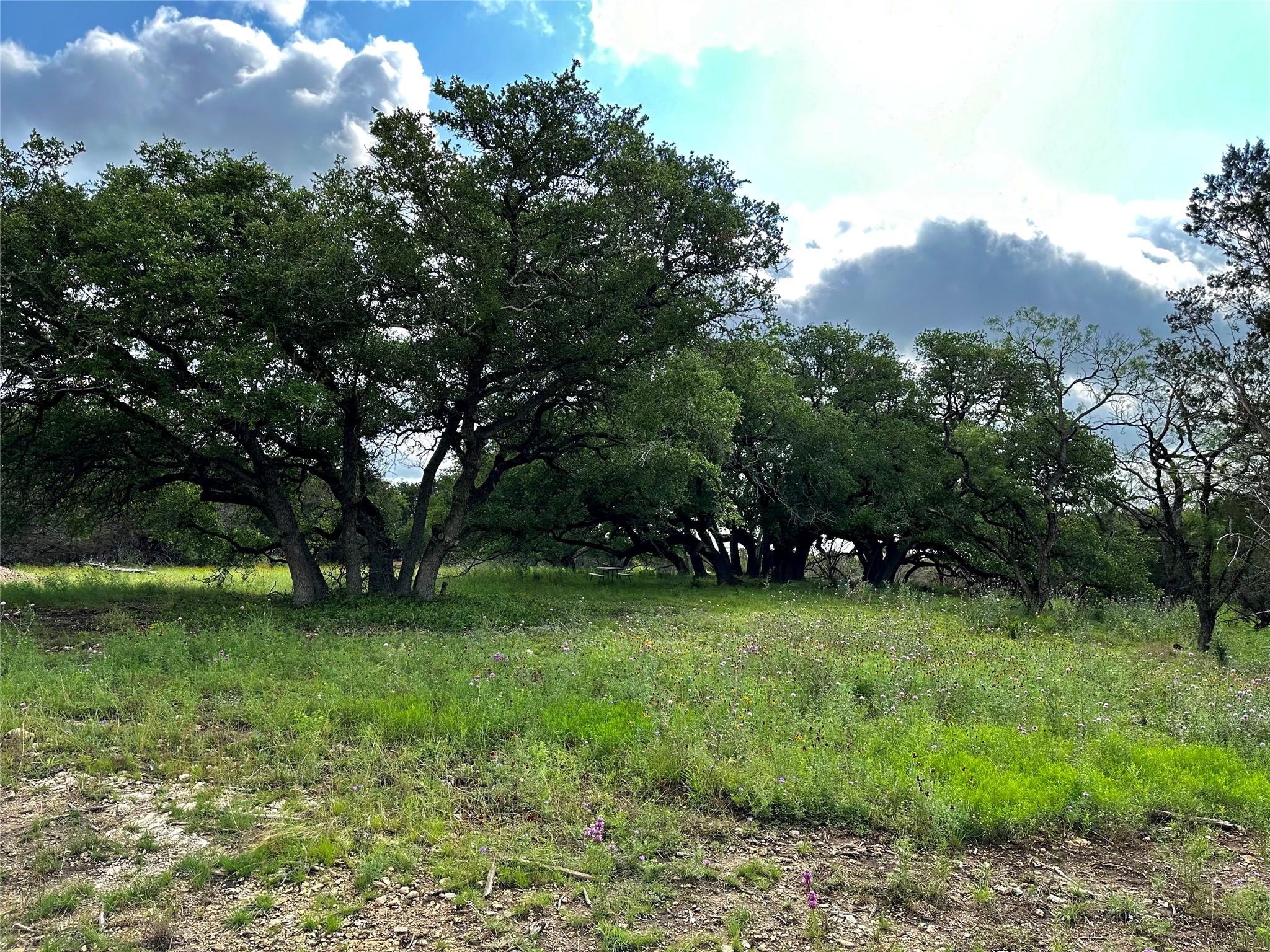 285 Donnie Drive Lampasas TX 76550