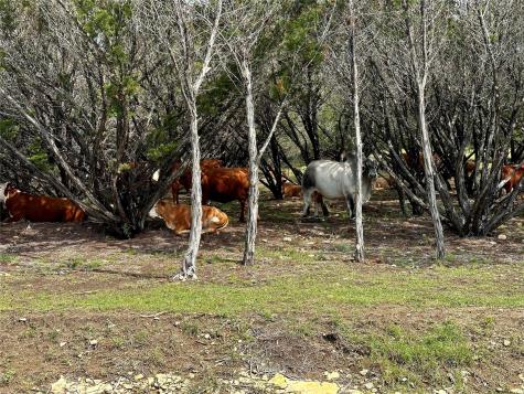 285 Donnie Drive Lampasas TX 76550