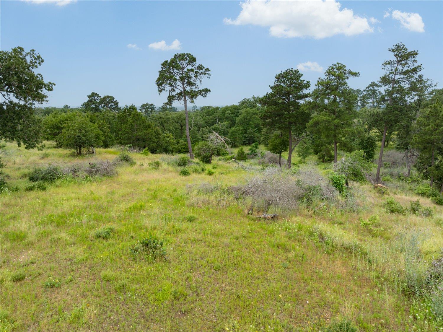 000 Mcallister Road Bastrop TX 78602