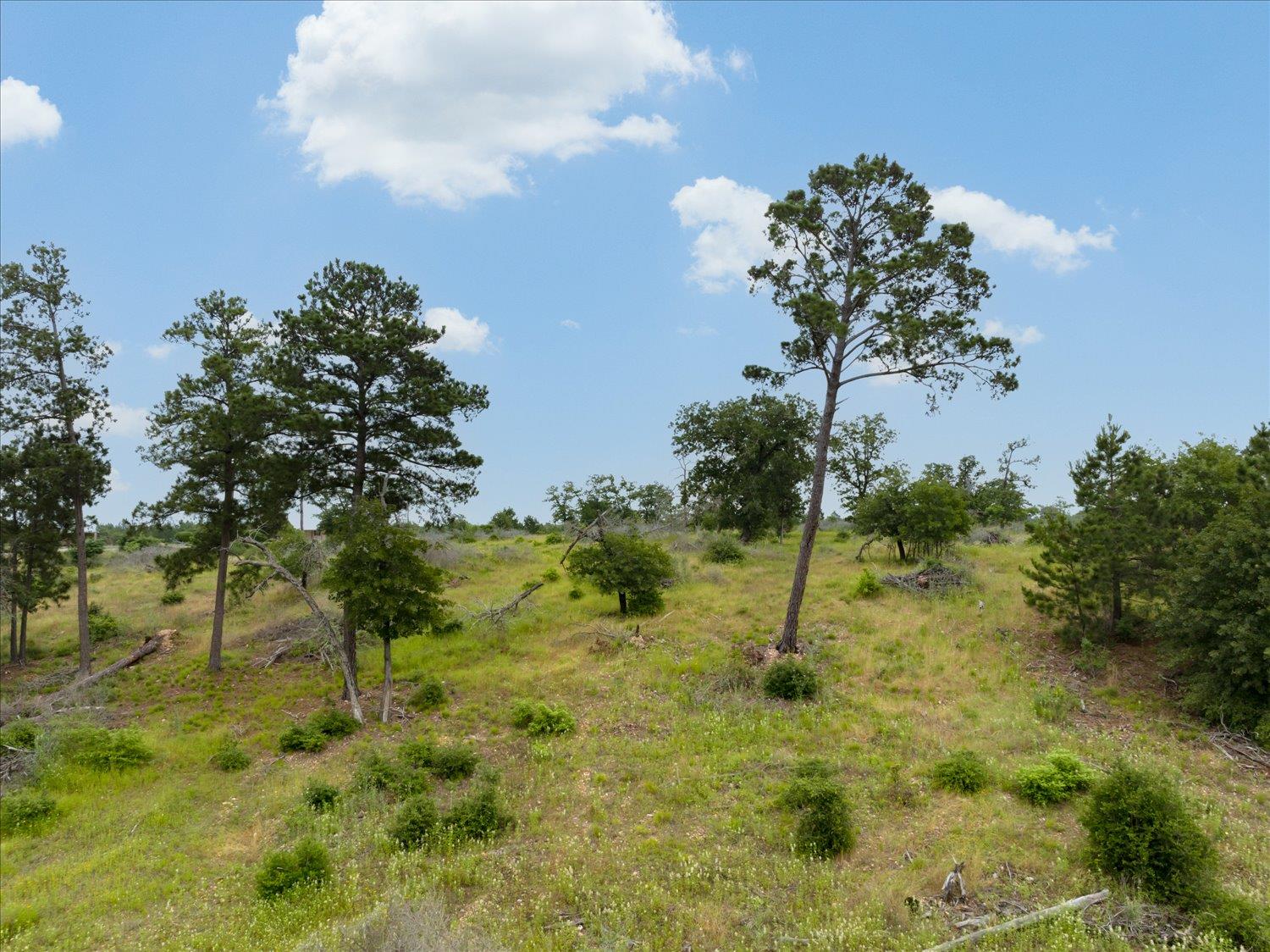 000 Mcallister Road Bastrop TX 78602
