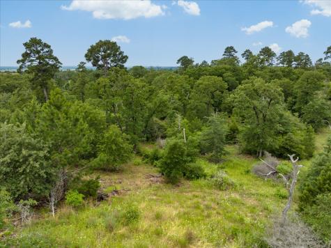 000 Mcallister Road Bastrop TX 78602