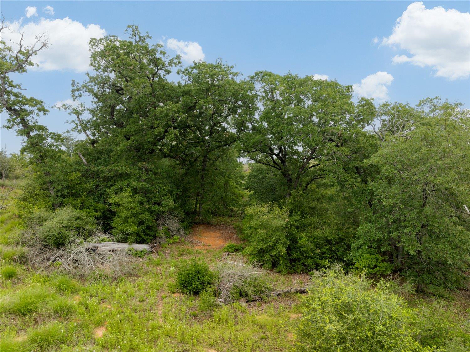 000 Mcallister Road Bastrop TX 78602