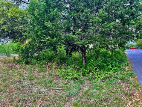 15209 Cavalier Canyon Drive Lakeway TX 78734