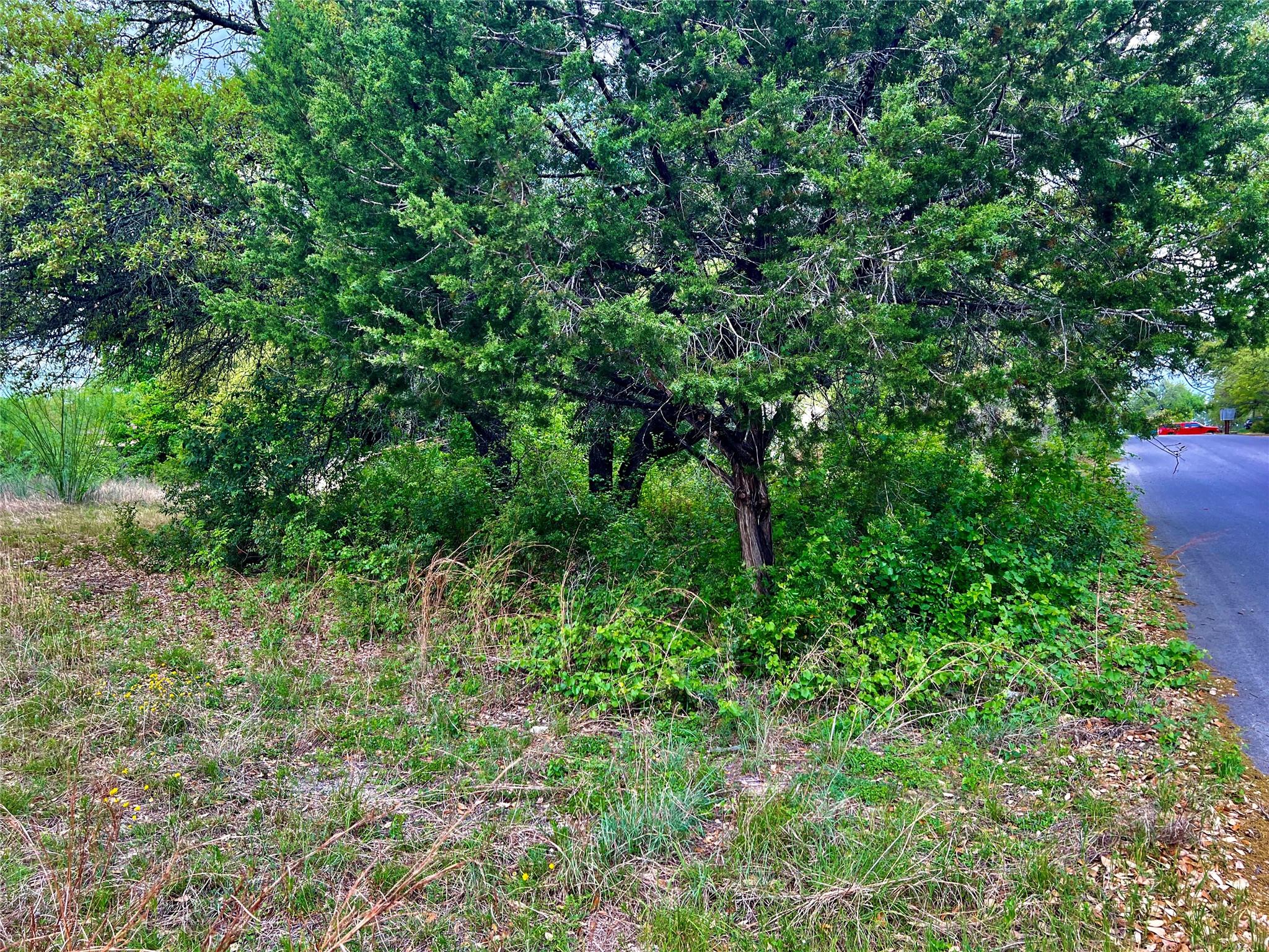 15209 Cavalier Canyon Drive Lakeway TX 78734