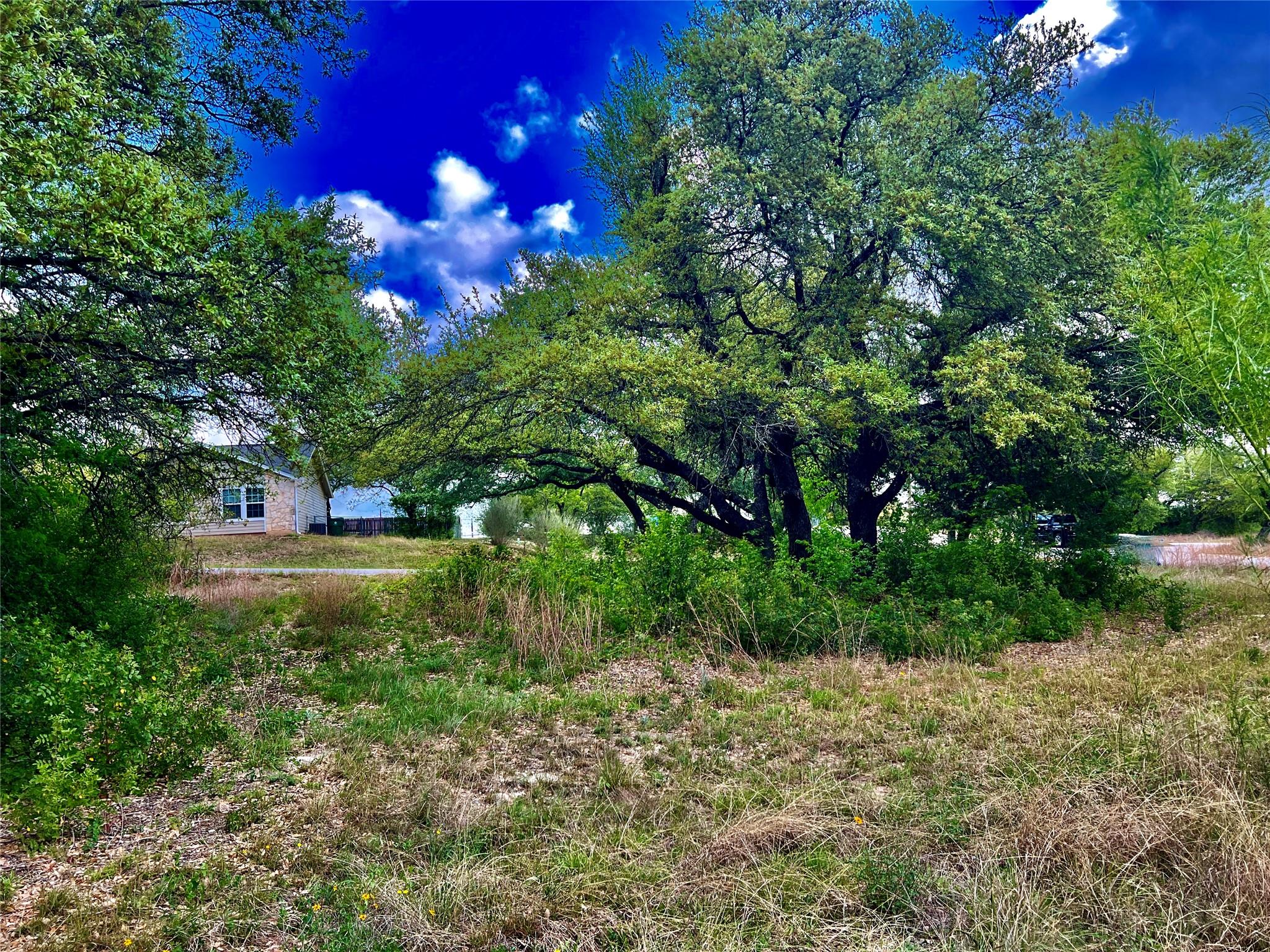 15209 Cavalier Canyon Drive Lakeway TX 78734