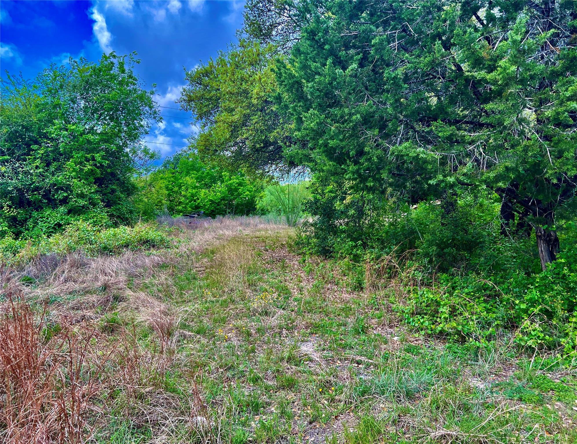 15209 Cavalier Canyon Drive Lakeway TX 78734