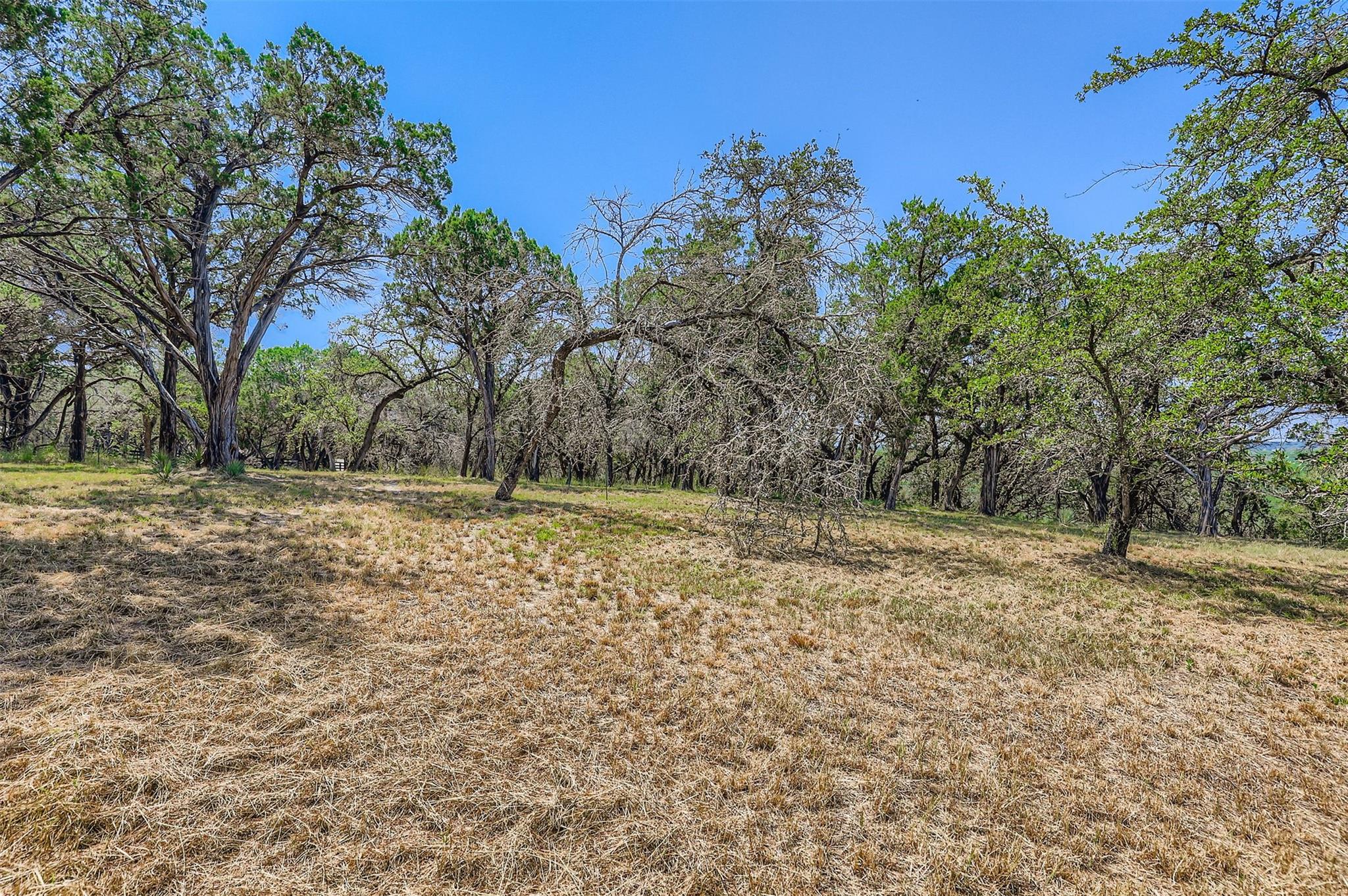 Lot 14-a Carol Cove Spicewood TX 78669