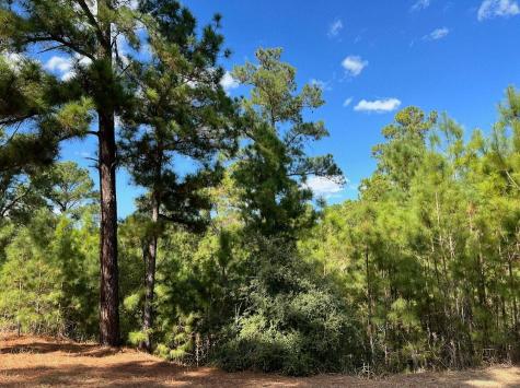 Lot 986 Kailua L Lane Bastrop TX 78602
