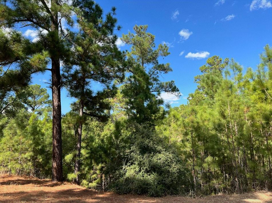 Lot 986 Kailua L Lane Bastrop TX 78602