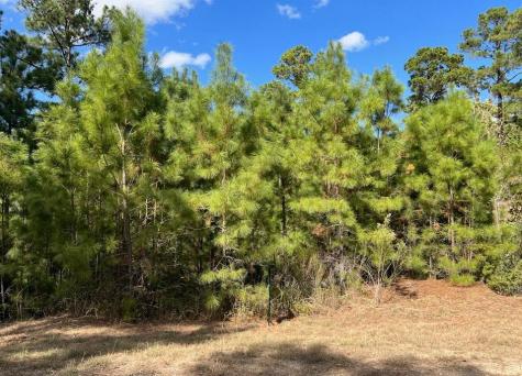 Lot 986 Kailua L Lane Bastrop TX 78602