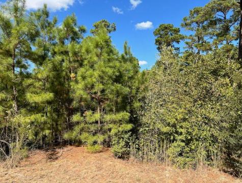Lot 986 Kailua L Lane Bastrop TX 78602