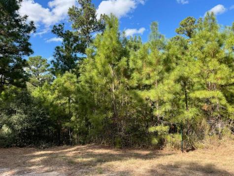 Lot 986 Kailua L Lane Bastrop TX 78602