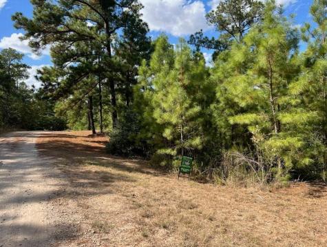 Lot 986 Kailua L Lane Bastrop TX 78602