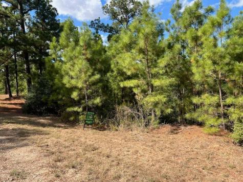 Lot 986 Kailua L Lane Bastrop TX 78602