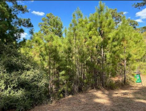 Lot 986 Kailua L Lane Bastrop TX 78602