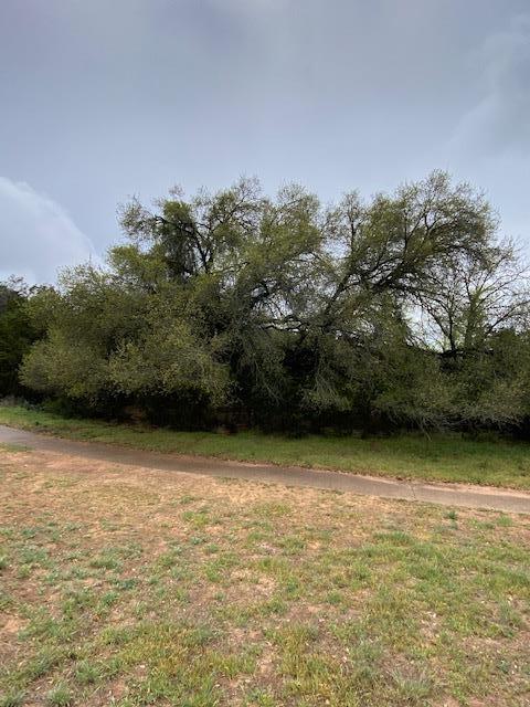 3101 Earhart Cove Lago Vista TX 78645