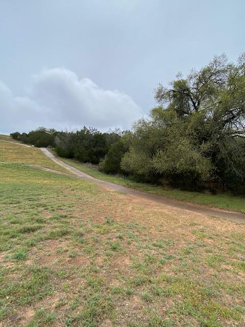 3101 Earhart Cove Lago Vista TX 78645