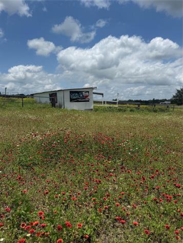 2135 Mule Creek Road Harwood TX 78632