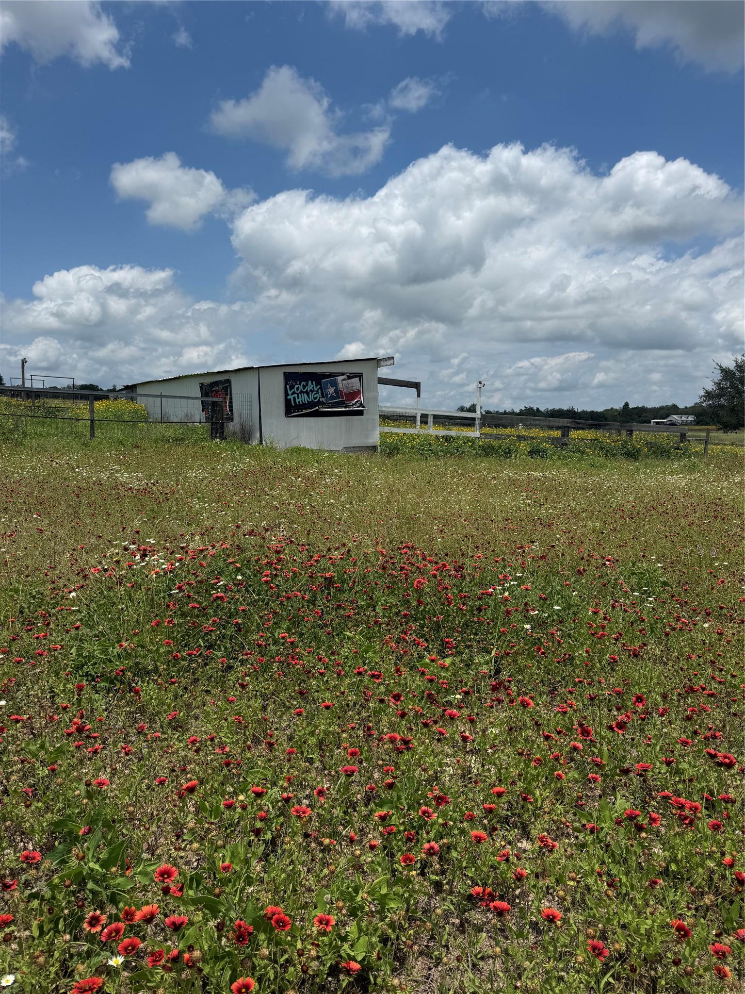2135 Mule Creek Road Harwood TX 78632