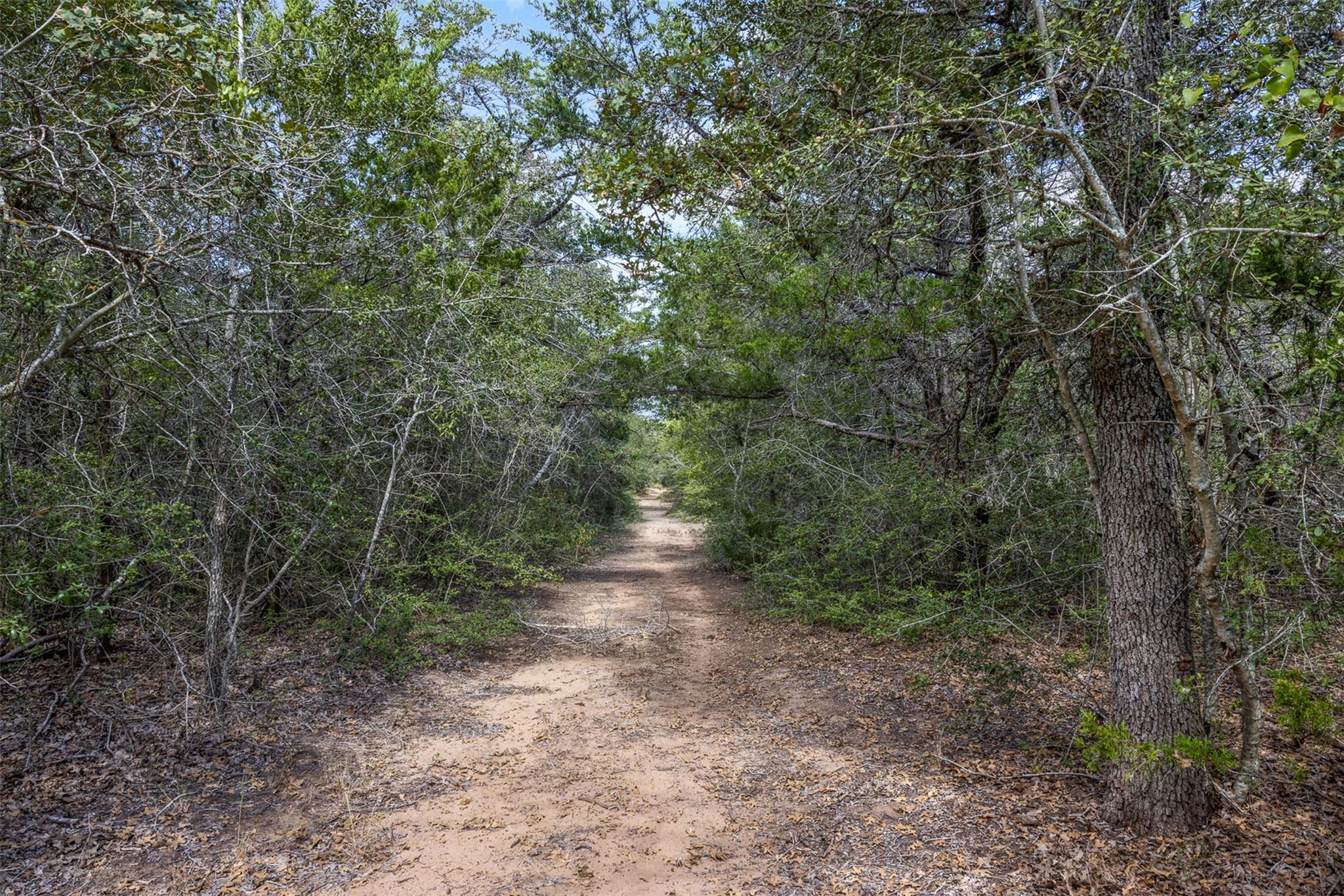 2135 Mule Creek Road Harwood TX 78632