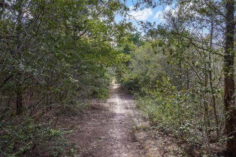 2135 Mule Creek Road Harwood TX 78632
