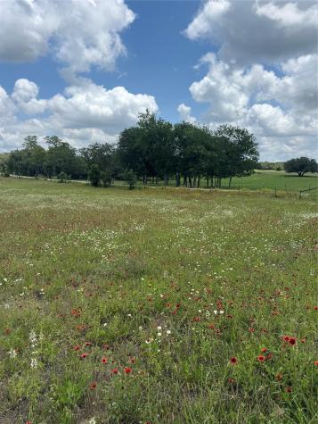 2135 Mule Creek Road Harwood TX 78632