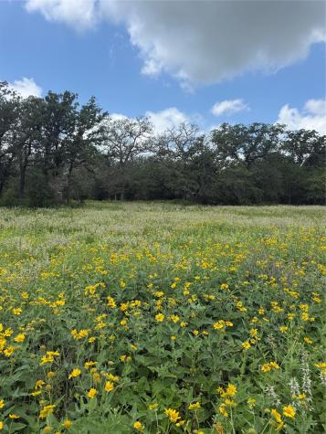 2135 Mule Creek Road Harwood TX 78632