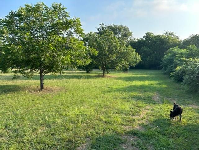 21604 Cold Spring Drive Leander TX 78641