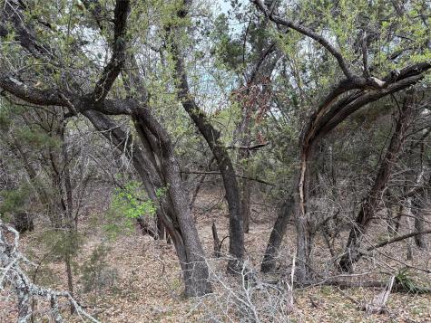 Tbd West Cave Boulevard Dripping Springs TX 78620