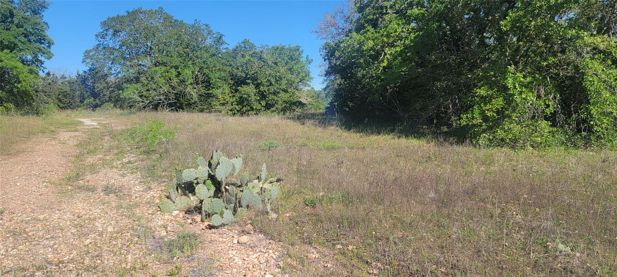 156 Lone Star Circle Bastrop TX 78602