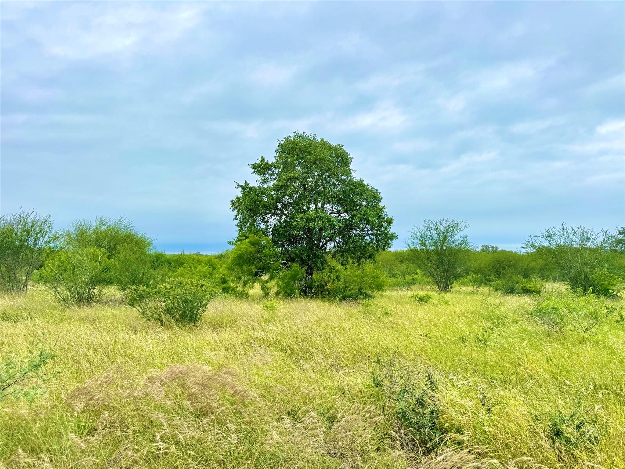 Tbd Tract Q Fm 108 Smiley TX 78159