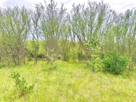 Tbd Tract Q Fm 108 Smiley TX 78159