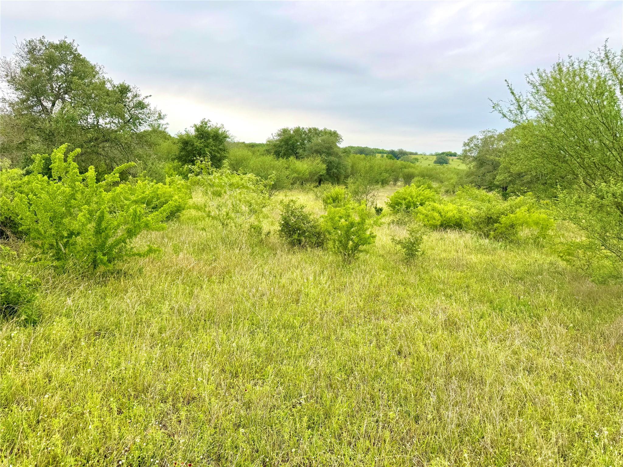 Tbd Tract Q Fm 108 Smiley TX 78159