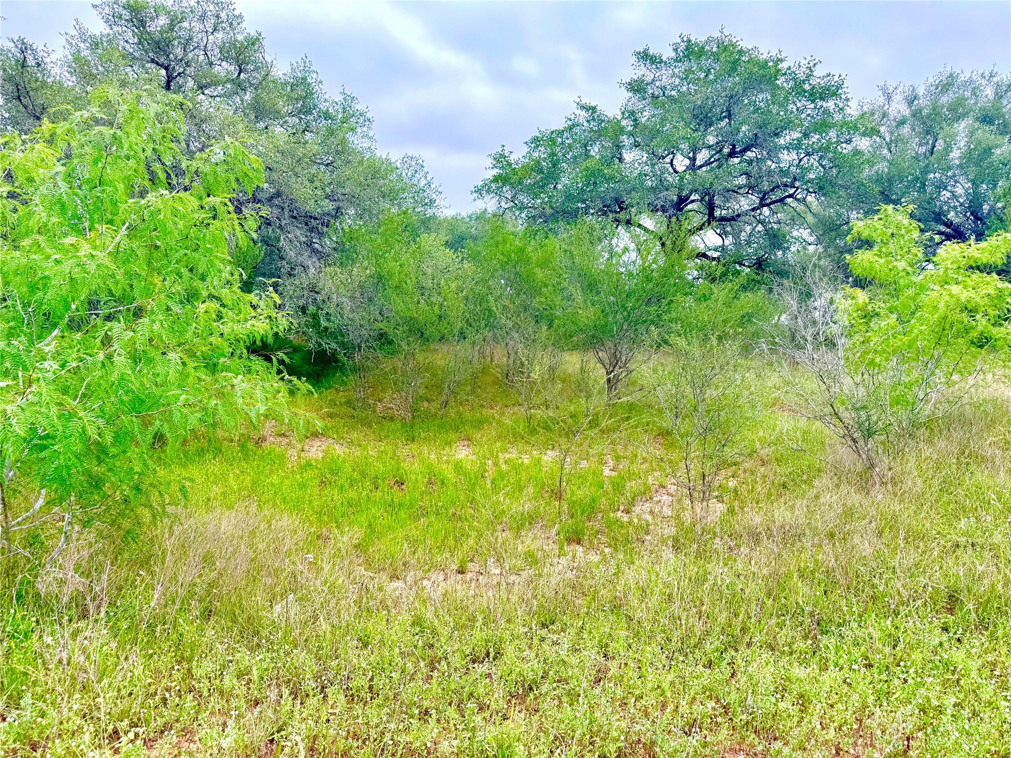 Tbd Tract Q Fm 108 Smiley TX 78159