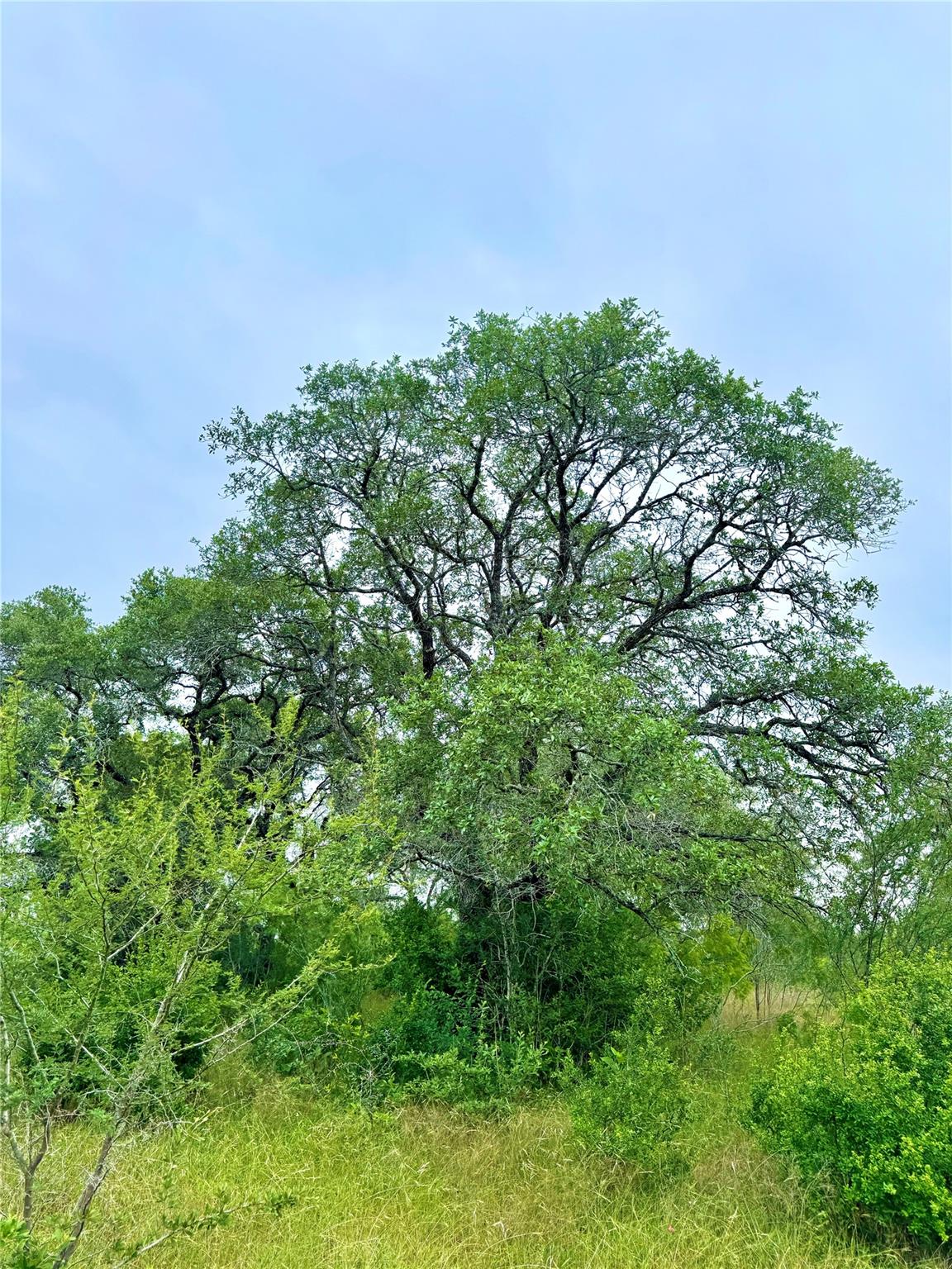 Tbd Tract Q Fm 108 Smiley TX 78159