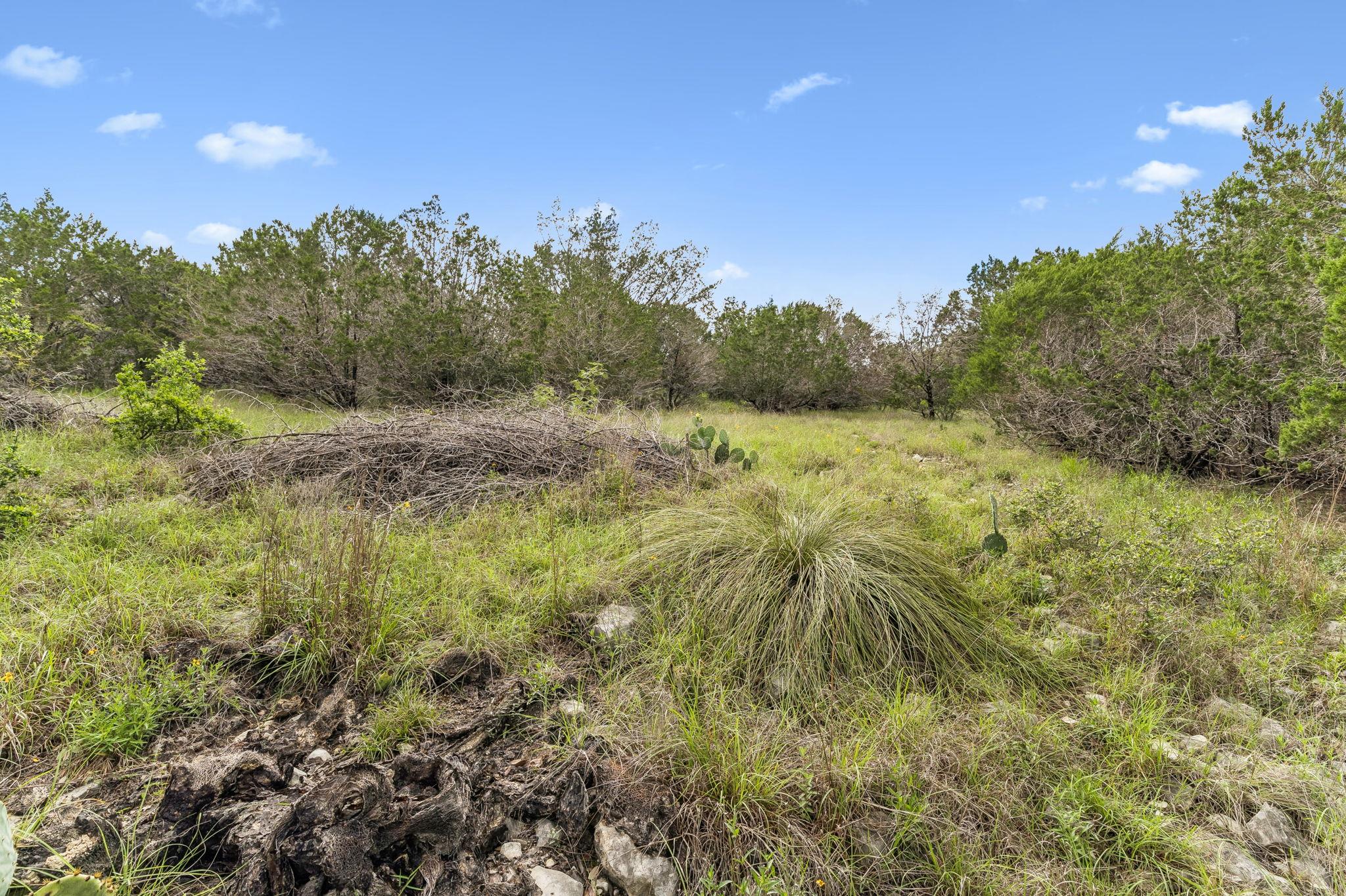 293 River Cliff Place Spring Branch TX 78070