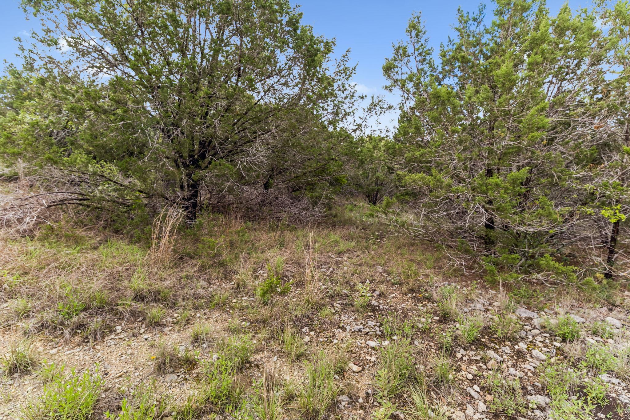293 River Cliff Place Spring Branch TX 78070