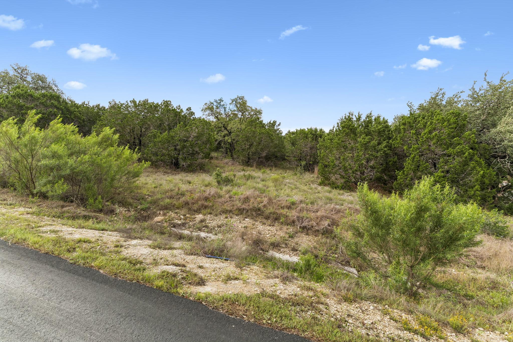 293 River Cliff Place Spring Branch TX 78070