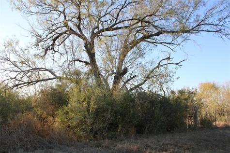 0000 Cr 339 Jourdanton TX 78026