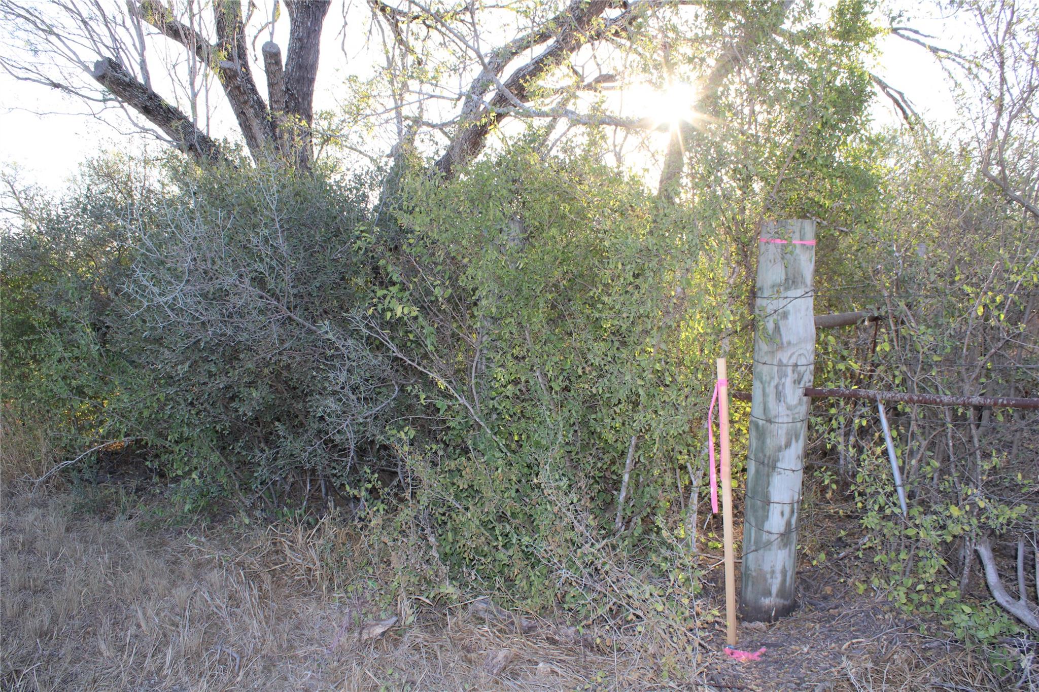 0000 Cr 339 Jourdanton TX 78026
