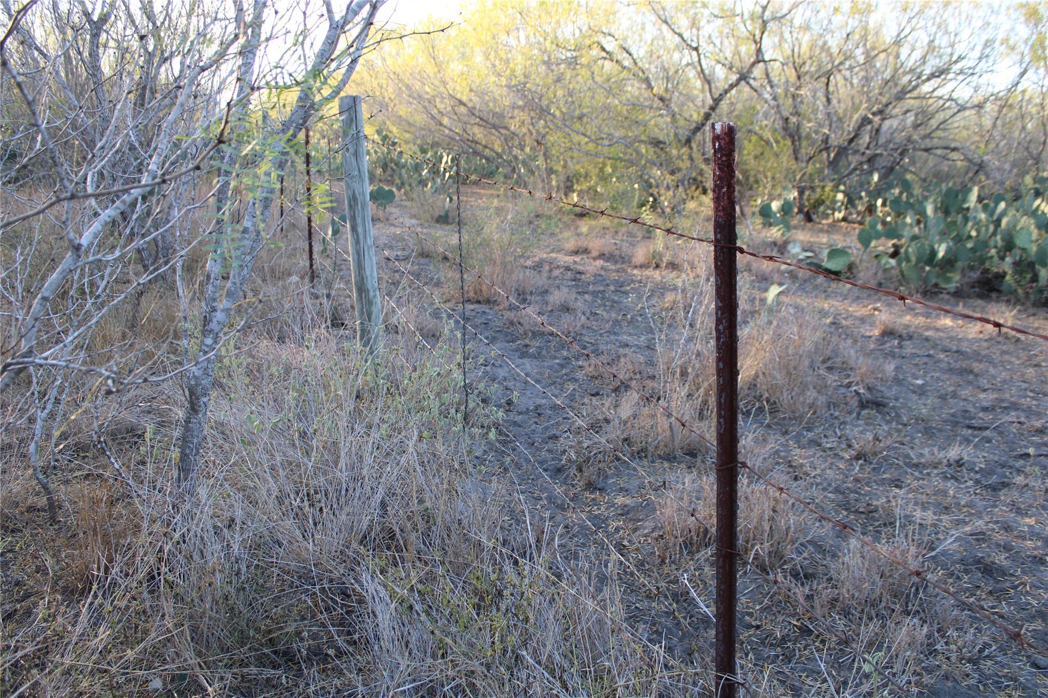 0000 Cr 339 Jourdanton TX 78026