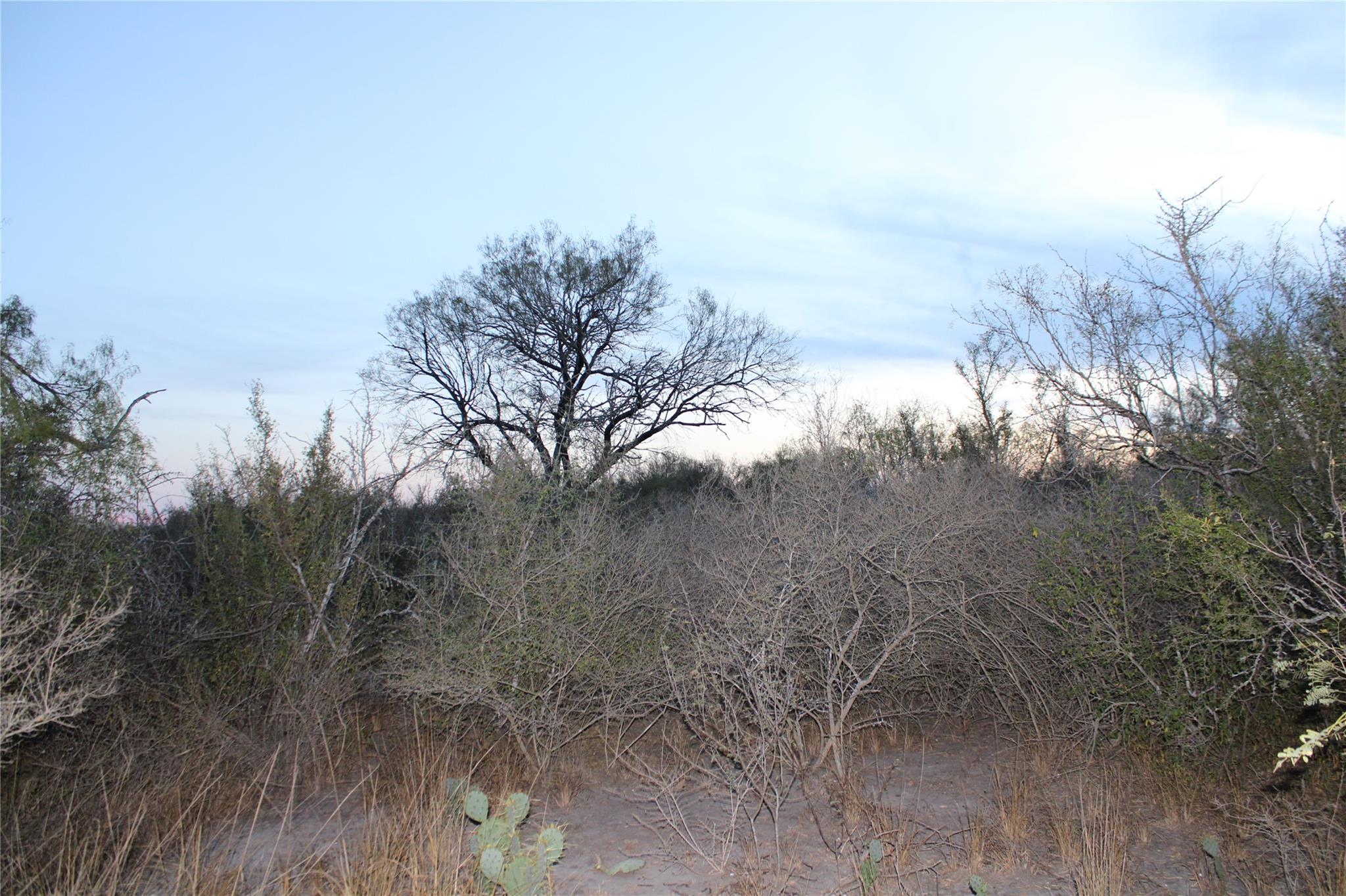 0000 Cr 339 Jourdanton TX 78026