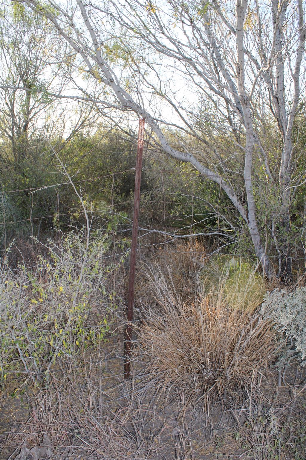 0000 Cr 339 Jourdanton TX 78026