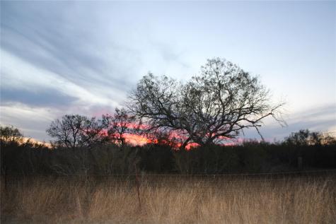 0000 Cr 339 Jourdanton TX 78026